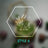 Sc07bb38ee262492c8f7201e454084306i