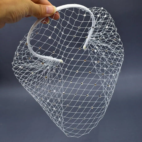 Elegant Birdcage Veil Headband - I'm Getting Married