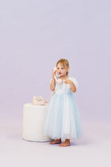Elsa Princess Flower Girl Dress - I'm Getting Married